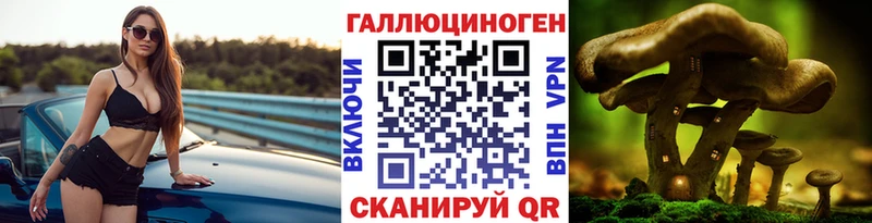 Галлюциногенные грибы MAGIC MUSHROOMS  блэк спрут зеркало  Нальчик 